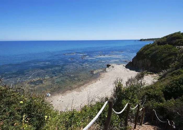 Giorgia チェファル